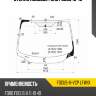 Стекло лобовое ford focus 10-19 xyg focus-iii-vcp lfw/x