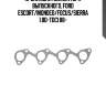 Прокладка коллектора выпускного, ford escort/mondeo/focus/sierra 1.8d-tdci 88-