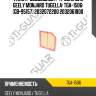 Фильтр воздушный / ti-guar для geely monjaro tugella  tga-1506  (gb-95157) 2032072200 2032061800