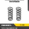 Комплект пружин 2шт задние toyota ipsum 96- sat st-44102