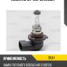 Лампа h10 12v 42w "day&night" carberry 31ca4