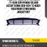 Решетка радиатора /передняя /ti-guar для hyundai solaris accent verna 2010-2014  tg-rg021  865611r000 sthns1000g0 jh02act11017