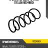 Пружина передняя 40 170 06, renault duster 1.2tce 13-
