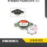 Крышка радиатора [1.1] r8 gx-16401-62100