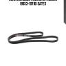 Поликлиновой ремень 6pk1823xs (8653-10716) gates