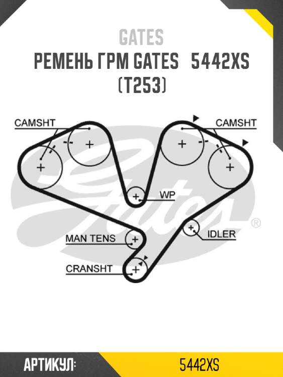 Ремень грм gates   5442xs (t253)