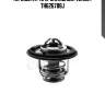 Термостат (с прокладкой) vernet th626788j