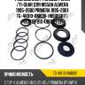 Ремкомплект рулевой рейки /ti-guar для nissan almera 1995-2000 primera 1995-2001  tg-48010-0m000  (ni9006kit)  490012f910 490012f911