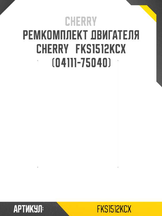 Ремкомплект двигателя cherry   fks1512kcx (04111-75040)