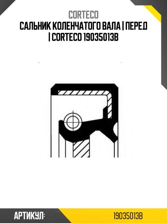 Сальник коленчатого вала | перед | corteco 19035013b