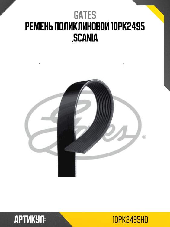 Ремень поликлиновой 10pk2495 ,scania