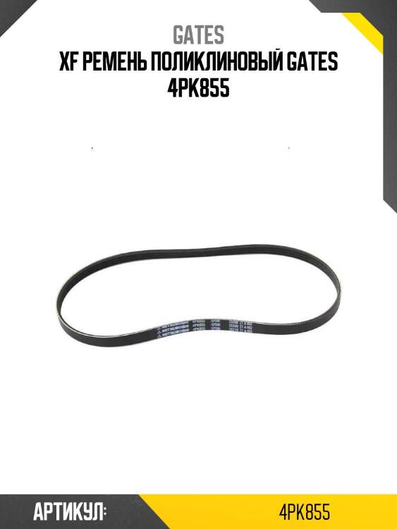 Xf ремень поликлиновый gates 4pk855