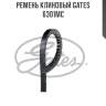 Ремень клиновый gates   6301mc