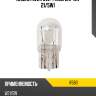 Лампа w21 ring r580