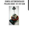 Лампа автомобильная polarg d0001  h11 12v 55w