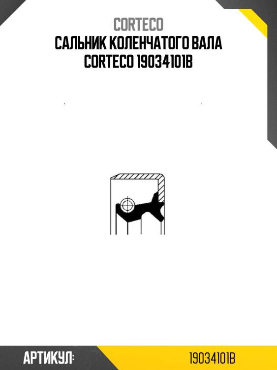 Сальник коленчатого вала corteco 19034101b