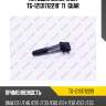 Катушка зажигания tg-12131712219* ti·guar