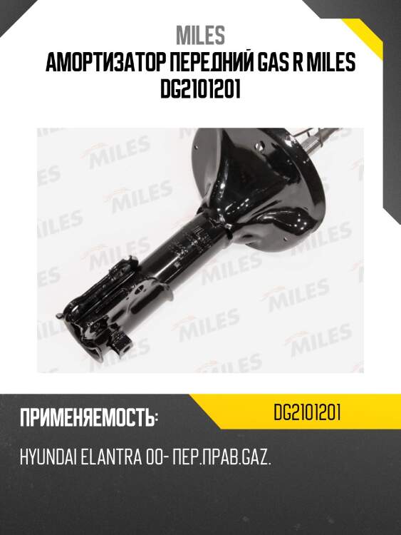 Амортизатор передний gas r miles dg2101201