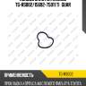 Кольцо уплотнительное tg-rs002/15692-75011 ti•guar