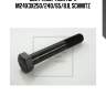 Болт амортизатора m24x3x250/240/65/8.8, schmitz
