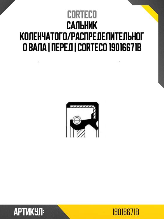 Сальник коленчатого/распределительного вала | перед | corteco 19016671b