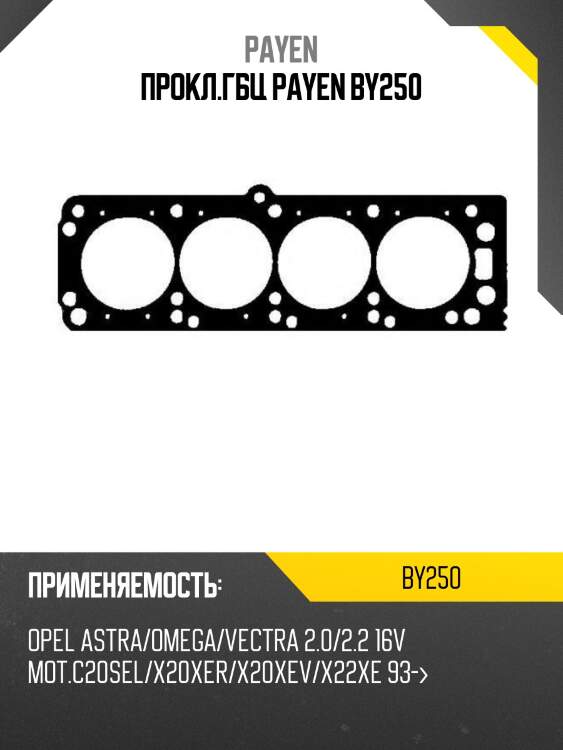 Прокл.гбц payen by250