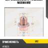 Болт маслосливной a/t (с шайбой) masuma m82
