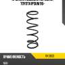 Пружина подвески передняя toyota ipsum 96- kayaba rk3803