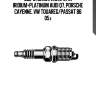 Свеча зажигания! 2pin iridium+platinum\ audi q7, porsche cayenne, vw touareg/passat b6 05>
