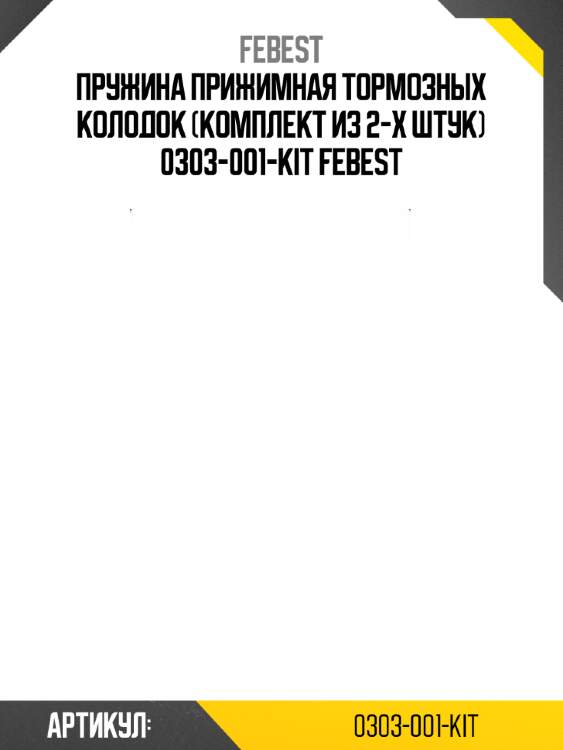 Пружина прижимная тормозных колодок (комплект из 2-х штук) 0303-001-kit febest