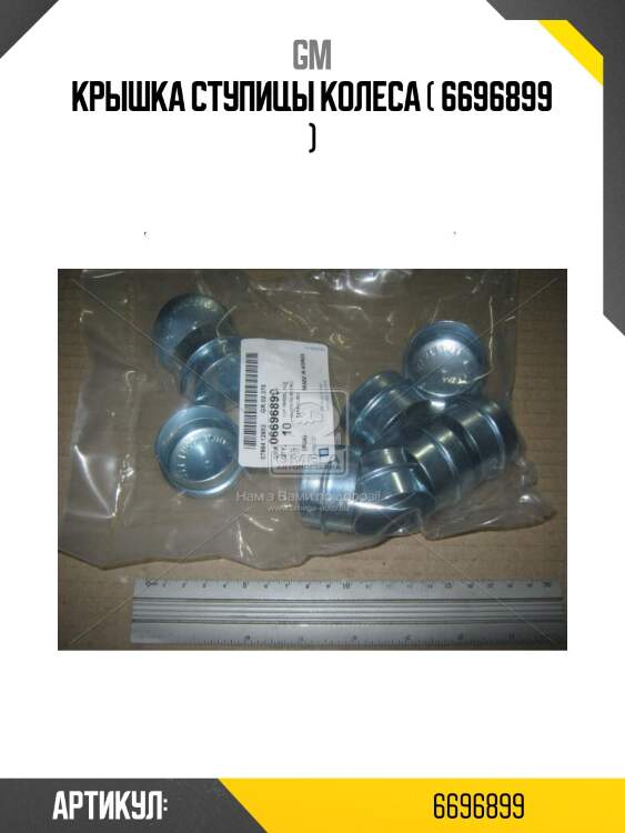 Крышка ступицы колеса ( 6696899 )
